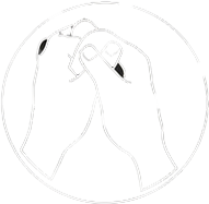 Zodiac symbol