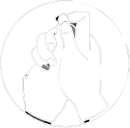 Zodiac symbol