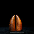 Lightning-struck wood Holy Grail